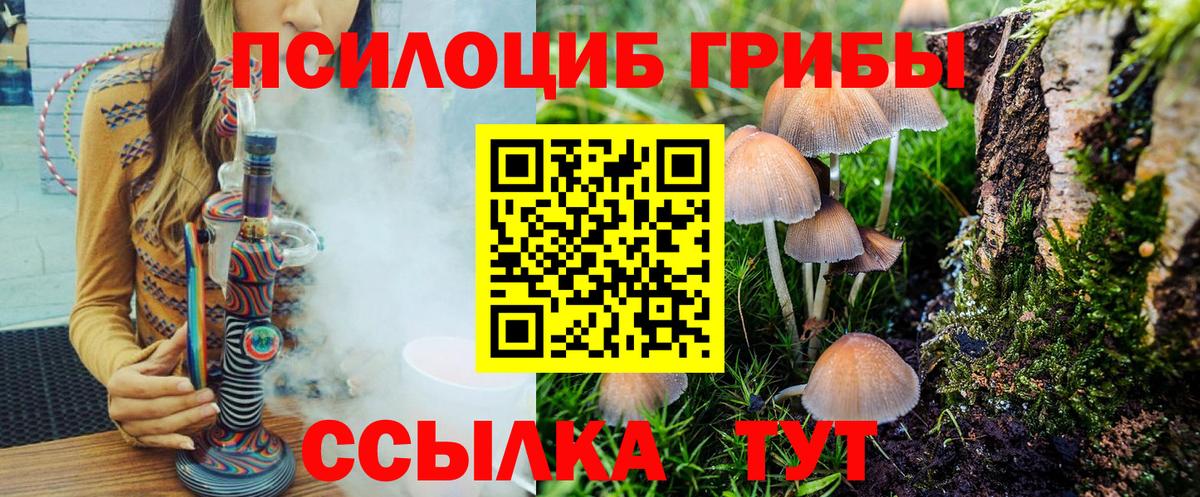 Галлюциногенные грибы MAGIC MUSHROOMS Заинск