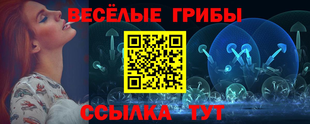 Псилоцибиновые грибы Psilocybine cubensis  Псилоцибиновые грибы мухоморы  Заинск  Вход с VPN 